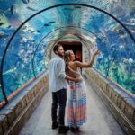 Regal Vegas Gambling enterprise Remark: Exclusive 150 Totally free Revolves + $1200 Incentive