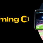 Huge Federal 2024 full list of 32 declared horses, riders and you can current odds to own Aintree