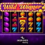 Σχόλιο για το Fat Santa Slot