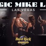 Wunderino Spiele & Games Ended Slot book of atem up being wird welches Beste Durchgang within Wunderino?