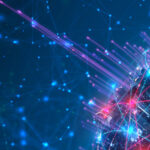 50 100 percent free Spins No deposit Southern area Africa 2026