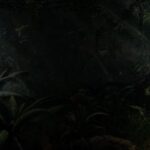 Insättningsbonus inte Lucky Fortune Cat online slot me Omsättningskrav Ultimat listan 2023