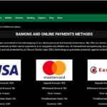 Insane Casino Added bonus Rules 2026 100 percent free Revolves & Bucks Incentives