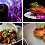 Us Accessibility, online Bingo Added bonus & Ports