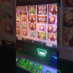 Dragobet Casino For Beginners