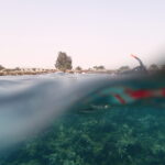 Immortal casino Book Of Ra Magic Air Accessoire pour avec Gaming Démo Jouer gratis, RTP, Cambrousse & Prime des français Casinos