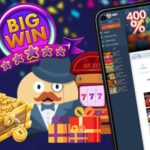 Opportunity Gambling establishment Added bonus Codes & No deposit Bonuses 2026